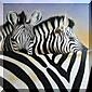 Gallery ANIMALS