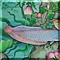 AROWANA & AQUARIUM