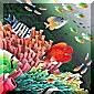 CORAL SEA & FISH